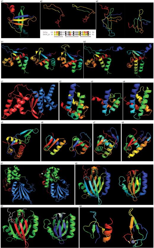 (a1) Cartoon diagram of T0467: 2k5q model 1, residues 7–97. (a2) Ribbon diagram of T0467 OB-fold C-terminal terminal region and Sso7d SH3-fold C-terminal region. Left: T0467 OB-fold C-terminal fragment: 2k5q model 1, residues 64–97; Right: Sso7d SH3-fold C-terminal fragment: 2bf4 chain A residues 30–64. On the bottom of this panel, a sequence alignment between 2k5q and 2bf4 indicates the sequence similarity between OB-fold and SH3-fold. (a3) Ribbon diagram of T0467 global OB-fold and Sso7d global SH3-fold. Left: T0467 OB-fold: 2k5q model 1, residues 7–97; Right: Sso7d SH3-fold: 2bf4 chain A. (b1) Cartoon diagram of T0465 and two typical proteins with FYSH domain. Left: Cartoon diagram of T0465, 3dfd chain A residues 21–136; Middle: FYSH domain of hypothetical protein AF0491: 1t95 chain A residues 11–94; Right: FYSH domain of hypothetical protein Yhr087W: 1nyn chain A residues 1–93. (b2) Cartoon diagram of T0465 and the closest template 2bo9. Left: Cartoon diagram of T0465: 3dfd chain A residues 11–137; Right: bacteriophage HK97 tail assembly chaperone: 2ob9 chain A. (c1) Cartoon diagram of T0443 evolutionary domains: 3dee, N- and C-terminal domains are colored blue and red, respectively. (c2) Cartoon diagram of N-terminal domain of T0443: 3dee residues 31–117. (c3) Middle domain of eIFα: 2aho chain B residues 96–176 belongs to SAM-domain fold. (c4) Four helices from a cyclin domain: 1gh6 chain B 648-733. (c5) Cartoon diagram of C-terminal domain of T0443: 3dee residues 118–230, HTH helices are orange-yellow and orange, ‘wing’ strands are blue and red (c6) Left: classic-winged HTH in biotin repressor: 1bia residues 1–63, HTH helices are green and yellow, ‘wing’ strands are orange and red; Right: circularly permuted HTH in Met aminopeptidase: 1b6a 378-446, HTH helices are yellow and orange, ‘wing’ strands are blue and red. (c7) 2nd HTH in cullin: 1ldj chains A:586–673, B:19–28, HTH helices are green and lime, ‘wing’ strands are yellow and orange, side β-sheet is red and blue. (c8) HTH domain of PhoB: 1qqi residues 10–104, HTH helices are green and yellow-orange, ‘wing’ strands are orange and red, side β-sheet is blue-cyan. (d1) Left: cartoon diagram of T0510 domains: 3doa, N-terminal, middle and C-domains are shown in blue, green and red, respectively; Right: cartoon diagram of MutM domains: 1ee8_A, N-terminal, middle and C-terminal domains are shown in blue, green and red, respectively, Zn ion is shown as a white ball. (d2) Left: N-terminal domain of 510: 3doa residues 1–165; Right: N-terminal domain of MutM: 1ee8 chain A residues 1–121. (d3) Left: N-terminal domain of 510: 3doa residues 1–165 insertion close to the N-terminus is red; Right: N-terminal domain of MutM: 1ee8 chain A residues 1–121 insertion in the middle of the domain is blue. (d4) Left: N-terminal domain of 510: 3doa residues 236–279; Right: N-terminal domain of MutM: 1ee8 chain A residues 230–266.
