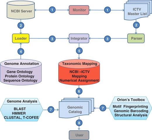 Summary of the implementation of the genomic catalog.