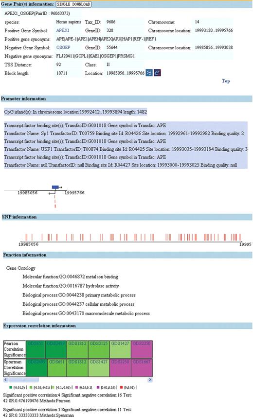 Annotations of an h2h pair.