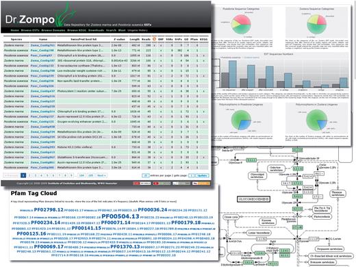 Dr. Zompo: screenshot of numerous ways to access the seagrass EST sequences and their annotation. Browse/Search results view, interactive flash charts of EST statistics, Pfam domain annotation represented as a tag cloud, KEGG pathway annotation with highlighted seagrass genes.