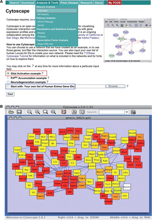 Reconstruction and exploration of hypothetical networks. (A) Network reconstruction involving either selection of a predefined network from our study or entering a set of genes for which a network can be built. (B) A glial activation network describing diverse immune responses to prion accumulation (see the text for further details). This example network can serve as a platform network to build more comprehensive networks by expanding particular network modules to include relevant cellular processes.