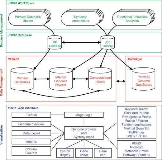 The three components of the MicroScope platform. The MicroScope deployment diagram presents three software architecture components: (i) in green, the process management system based on jBPM framework which orchestrates all the analyses of the annotation pipeline, (ii) in red, the PkGDB and MicroCyc databases which respectively manage genomic and metabolic data, and (iii) in blue, the MaGe Web interface which is directly connected to the databases and allows users to browse and edit data.