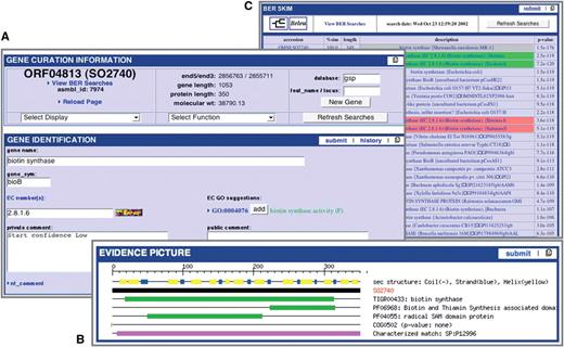 Manatee: manual annotation tool. (A) Display of annotation identification features and calculations for a gene. (B) Graphical representation of annotation evidence aligned to the gene of interest and color coded to represent the significance of the match. (C) List of BER results ordered by homology and color coded to represent entries in the CHAR database.