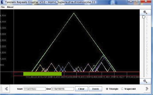 This view of TandemGraph shows the repeats that occur in a segment of chromosome 11 of the Homo sapiens. Each triangle represents a tandem repeat. Below the graph, the green bar represents a new zooming segment, and the text boxes allow entry of actual indexes for zooming.