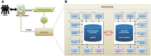 Outline of the PROFESS database. (A) The relationship of the user interface to the functional query system (green) to the PROFESS databases; and (B) the core databases integrated in PROFESS. The central eggNOG-PDB linkage is shown in red, double arrows indicate intensive interactions, blue boxes represent databases available on the internet, and purple boxes denote other databases to be integrated in the future. Each additional data set interacts with the PROFESS core through the use of wrapper programs to make query language uniform.