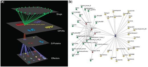 Visualization of human Prostanoid TP receptor’s interactions (drugs included). (a) Arena3D Visualization: Human Prostanoid TP receptor protein of Class A GPCR family targets four Gα G-Proteins that belong to Gq/11 family. The G-Proteins are connected to effectors proteins belonging to eight specific families. For this specific receptor 23 different drugs exist. (b) Medusa 2D Visualization: Human Prostanoid TP receptor protein targets Gα G-Proteins that belong to Gq/11 family. These G-Proteins interact with 11 different subfamilies of effectors. For this specific receptor 23 different drugs exist.
