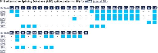 Alternative splicing diagram in the Transcripts section. Exons with alternative splice sites in different isoforms are broken into Exonic Units (ExUns). The symbol between ExUns indicates an intron, while ‘·’ indicates the junction of two ExUns.