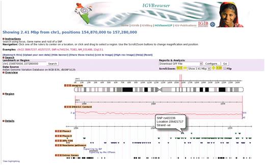 A representative example of IGVBrowser. Distribution of markers in 2.41 Mb region in human chromosome 1 from IGVC data is displayed along with annotation data from different resources.