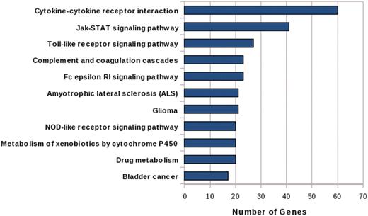 Bar graph shows the mapping of candidate genes in significant pathways (after Bonferroni correction) of KEGG Pathway Database.