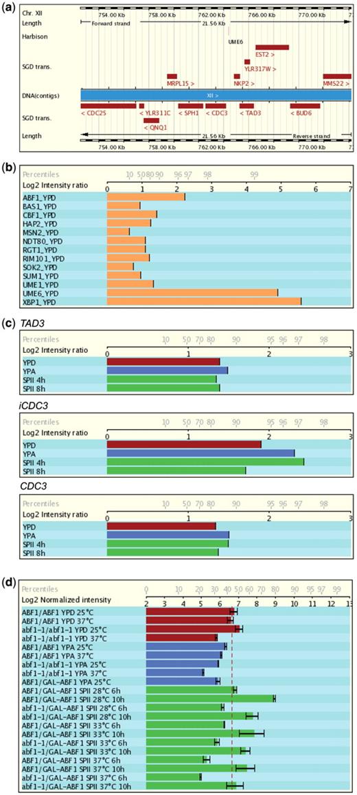 Display of genome annotation, ChIP-Chip and microarray expression data. (a) Ensembl genome annotation for CDC3 and neighbouring loci. Protein-coding genes are red rectangles. Chromosomal coordinates are given. Regulatory motifs investigated by Harbison et al. (33) are shown. (b) In vivo binding of selected transcription factors including Abf1 to the CDC3 (YLR314C) up-stream region in haploid MATa cells cultured in rich medium with glucose (YPD). (c) Abf1 binding in samples from fermenting (YPD, red), respiring (YPA, blue) and sporulating (SPII 4 h and 8 h, green) cells. Signals for the upstream gene (TAD3), the CDC3 promoter (iCDC3) and the CDC3 coding region are given for comparison. (d) CDC3 mRNA expression data in strains containing homozygous wild-type (ABF1) or temperature sensitive (ts, abf1-1) alleles as well as strains bearing one wild-type or ts and one galactose-inducible allele (ABF1/GAL-ABF1; abf1-1/GAL-ABF1) at three different temperatures during growth and sporulation as indicated. Log2 ratios and the percentiles are indicated on the x-axis in (b), (c) and (d). For more information about Abf1 see reference (31).
