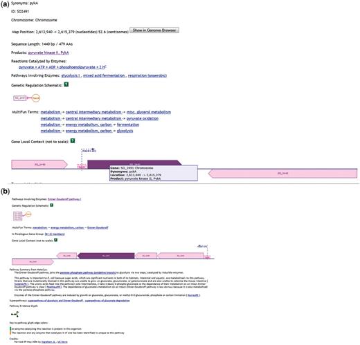Information from ShewCyc on PykA (a) and HexR (b) in the MR1 pathway genome database.