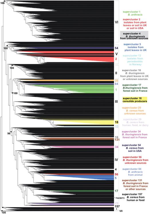 Weighted supertree of 2143 B. cereus group isolates based on phylogenetic information from five MLST schemes and three AFLP studies available in HyperCAT. The supertree was inferred following the MRP strategy, with a weight of 40 or 68 given to the AFLP studies and a weight of 1 given to each of 26 MLST genes. For the sake of legibility, isolate names are not shown. The seven major phylogenetic subdivisions of the B. cereus group defined by ref. (10) are designated by roman numerals (I–VII) and their branch support values (based on aLRT probabilities) are indicated when >95%. Superclusters of genetically closely related isolates (sharing identical MLST or AFLP profiles) that have been computed independently using a recursive approach and that contain 10 or more isolates have been mapped onto the supertree and are listed on the right (the supercluster descriptions apply to most isolates of the superclusters, not necessarily all). Isolates belonging to a given supercluster are drawn in the same color. As can be seen, isolates from the same supercluster are closely related in the tree. One exception is indicated by an asterisk and corresponds to strain B. cereus F4430/73 of supercluster 157. The image was generated using TreeDyn (44).