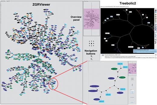 Phylogenetic snapshot of the B. cereus group population based on MLST and AFLP typing data for 2143 isolates. The snapshot combines supertree and supercluster information. The supertree is represented as an unrooted network in which the closely related strains belonging to a supercluster have been replaced by a representative isolate. Superclusters are drawn as filled lightblue boxes, while singleton isolates are drawn as ellipses colored by bacterial species (red, B. anthracis; blue, B. cereus; green, B. thuringiensis; brown, B. mycoides; purple, B. pseudomycoides; orange, B. weihenstephanensis; black, uncharacterized B. cereus group isolate). The network can be browsed interactively using the ZGRViewer navigation buttons and mouse functions. Clicking on an internal node loads a new page displaying the subtree including all descendants of that node in the supertree. An example is given in the inset showing the subtree circled in red. The view in the upper right corner shows the display of the supertree in hyperbolic space using Treebolic2.