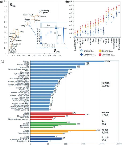 Analysis of co-citation agreement within different organism categories. (a) Average Sorensen–Dice similarity score for co-citations in the different organism categories, before the canonicalization of protein isoforms. The area of the circle surrounding the data point is proportional to the number of co-citations within the category. Orange error bars indicate the 95% confidence interval for each category’s mean. Only organisms with at least 50 co-citations are shown. The four largest categories are Human (20 671 co-citations), the yeast S. cerevisiae (5444 co-citations), Mouse (3550 co-citations) and Rat (R. norvegicus, 1477 co-citations). The inset shows the two-dimensional similarity distribution for the Human category (same as in Figure 2b). (b) Improvement in average similarity scores for organism categories upon mapping of proteins to their canonical splice isoforms. Error bars indicate the 95% confidence interval for each category’s mean. Improved agreement is observed for human and fly co-citations, and to a lesser extent for the mouse and rat co-citations. The small improvements observed for E. coli co-citations are due to a more consistent strain assignment performed in parallel to the canonical isoform mapping. (c) Discrepancies in organism assignments: each group of colored bars corresponds to co-citations in which one database records proteins from a single organism (indicated on the right, with the total number of such citations). Each colored bar represents co-citations in which the other database records the organisms indicated on the right. Only bars with at least 10 co-citations are shown.