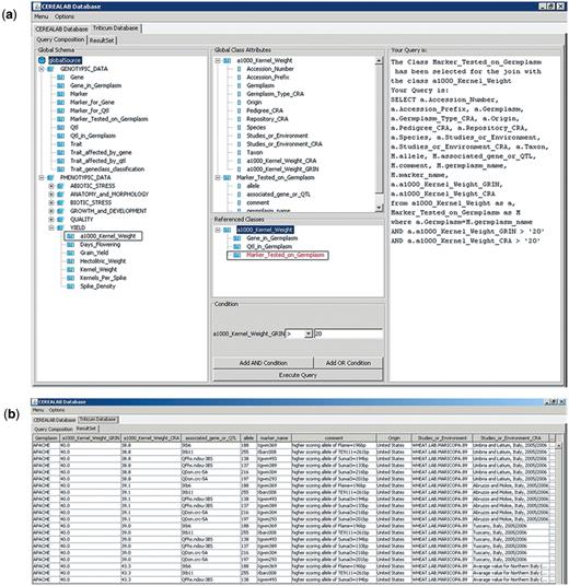 Screenshots of the query example (a) and of the results (b) returning information about wheat varieties characterized by 1000 kernel weight value >20 g and genotyped with molecular markers associated with genes and QTLs for resistance to major pathogens.