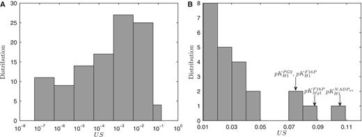 (A) Distribution of the product of uncertainty and sensitivity (US) for all pK values; (B) detailed distribution of the product >0.01.