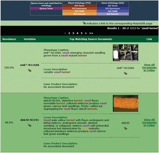 Sample search results for our retrieval engine using the query ‘small kernels’. Highlighted terms indicate matches to the query (including original terms and terms included through query expansion), with the color providing information about the term.