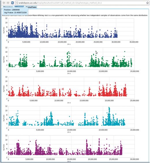 Genome-wide association P-values plot. Mouse-over each dot shows the position and P-value of the SNP. Clicking each dot results an 80 kb zoom-in SNP page (Figure 8). This visualization is done by Google Visualization Scatter Chart. This visualization is available in any phenotype page. The example used here is at http://arabidopsis.usc.edu/DisplayResults/showGWA?call_method_id=32&phenotype_method_id=2.