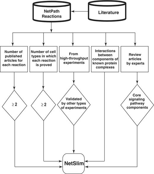 Schematic representation of the criteria used to select high-confidence pathway reactions from NetPath for NetSlim. Reactions supported by at least two research articles are considered confident. Reactions shown to occur in multiple cell types for specific pathways are also included. NetSlim further incorporates reactions reported through high-throughput analyses which were validated by a focused experiment (in the same research article or another research article). The interactions between components of known protein complexes are included to obtain a general view of a pathway. Molecules or reactions established through expert review articles are considered for NetSlim in order to provide the core set of reactions in a given pathway.