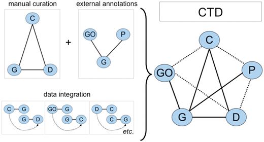 CTD data. Biocurators manually curate a triad of core interactions (solid lines) between chemicals (C), genes (G) and diseases (D) from the literature. These data are combined with external annotations from Gene Ontology (GO) and KEGG/Reactome pathways (P) via the shared use of NCBI Gene IDs. A unique feature of CTD is the inferred relationships generated by data integration: if a GO term is annotated to gene G, and independently gene G directly interacts with chemical C (via a curated interaction), then the GO term has an inferred relationship to chemical C (inferred via gene G). Data integration between these five nodes (C, G, D, GO and P) additionally yields novel, inferred relationships (dashed lines). In total, CTD becomes larger and more informative than the sum of its individual curated parts.