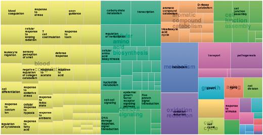 Treemap derived using frequency of proteins annotated in 3DSwap using biological process category.