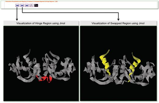 Screenshot that highlights visualization in 3DSwap using Jmol.
