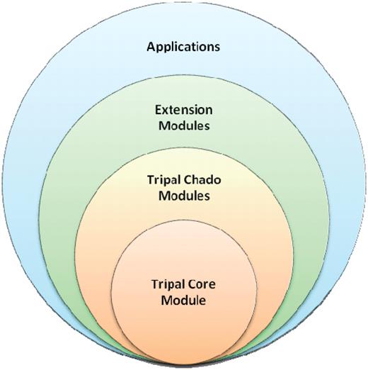 Tripal is designed in hierarchical layers. The baseTripal package consists of the Tripal core and Tripal Chado modules. Extension modules use the Tripal Core and Tripal Chado Modules and provide additional functionality not provided by the base package. Applications use a combination of the Core, Chado and extension modules, as well as, other Drupal modules.