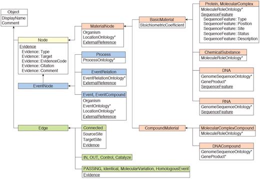 INOH data model. Boxes represent class objects (nodes and edges) and their attribute(s), and arrows show inheritance relationships. Multiple values are allowed at underlined attributes. Asterisks indicate that the value for the attribute is filled from INOH ontology terms.