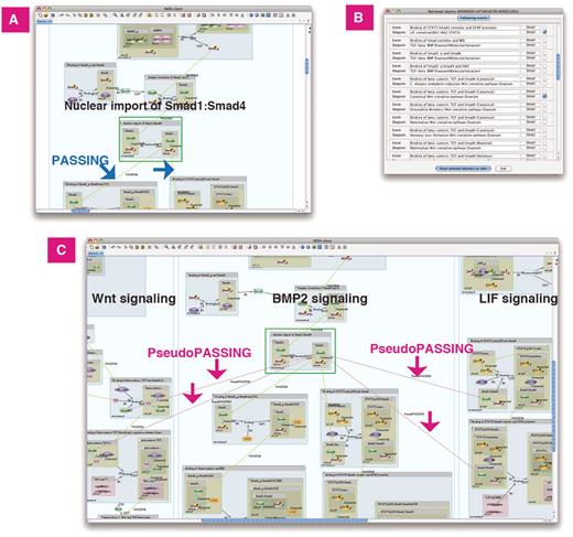 Previous/following event search. BMP2 signaling does ‘cross-talk’ with Wnt and LIF signaling. (A) Search following events of ‘Nuclear import of Smad1:Smad4’ in BMP2 signaling. The curated following events are connected to the event by the PASSING edges. (B) List of following events and its diagram. (C) Wnt and LIF signaling is pasted on same canvas. The inferred following events are connected by the PseudoPASSING edges.