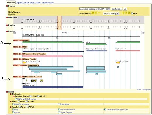 Genome depiction. The genome is represented linearly, with features on their respective coordinates. (A) Genes and their coding sequences (CDS) each have their own track and are links to their own details page. (B) Uploaded tracks.