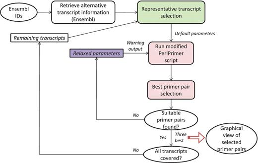 Overall primer design pipeline. The overall workflow is depicted. The green box is explained in Figure 2. The pink and purple boxes are explained in more detail in Figures 3 and 4, respectively. For more details, please see main text.