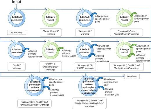 Workflow to find at least one suitable primer pair by relaxing the primer design parameters. The circles schematize the run of the modified PerlPrimer script and the workflow of the best primer selection indicated in Figure 1. The relaxation of the parameters within the modified PerlPrimer script and the allowed options in the selection of the best primer pairs are depicted in the center and on the right of the circles, respectively. Blue and green circles represent the default parameters and the relaxed design parameters, respectively (Table 2). The arrows symbolize the logical flow. If no primers are found with either set of parameters, the program reports ‘No primers’.