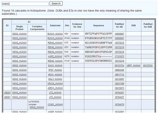 General view using ‘Mdm2’ as an example.