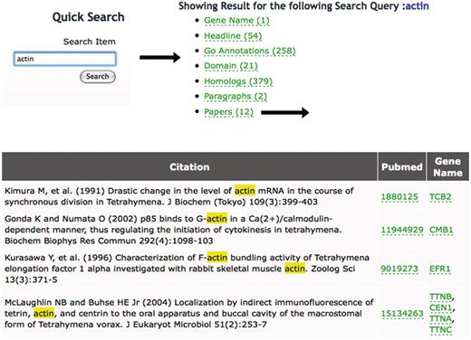 Using the Quick Search tool at TGD Wiki. Entering a search term (‘actin’ in this example) returns the list of annotation types shown at TGD Wiki and the number of times the term appears in each category. Following the links to these annotation types shows the entry where this term is found and lists the genes it is used to annotate. In this case, 12 articles mention the word ‘actin’ in the title. Following the ‘Papers’ link shows their citation information, links to Pubmed and links to the Gene Pages of the specific genes mentioned in each paper.