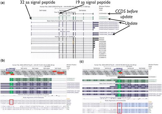 UCSC Genome Browser view of CCDS4929.1, which was updated to version 2, representing a variant of the human CRISP3 (cysteine-rich secretory protein 3) gene. The CDS was extended at the 5′-end. (a) Both the longer protein (258 amino acids) encoded by the update and the shorter protein (245 amino acids) have predicted signal peptides (SignalPv4.0) of 32 amino acids and 19 amino acids, respectively. (b and c) Base-level view. The upstream AUG start codon (b) has the weaker Kozak context (blue box) and is only conserved among primates (red box), whereas the downstream AUG (c) is conserved among more mammals (46-way alignment and conservation track).