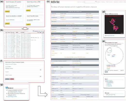 MSV3d web interface contains numerous functionalities including: (a) field search, (b) free text search, (c) detailed information, (d) 3D structure visualization using Jmol, (e) spatial neighbouring residue visualization, (f) missense annotation service and (g) download service.