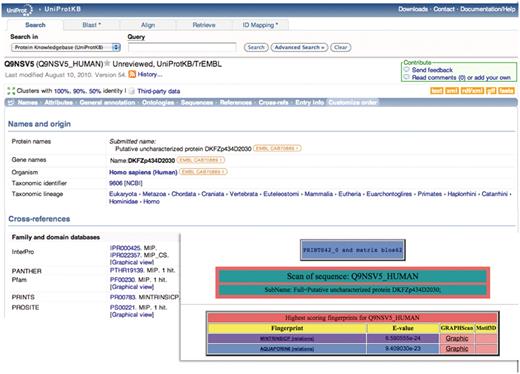 Illustration of a hierarchical PRINTS diagnosis. The UniProtKB/TrEMBL entry Q9NSV5_HUMAN was annotated as putative uncharacterized protein DKFZp434D2030; the family- and domain-database cross-references suggested membership of the major intrinsic protein (MIP) superfamily, but provided no specific family affiliation. The FingerPRINTScan result (inset) diagnoses the sequence both as a member of the MIP superfamily and as an aquaporin 6 subtype.