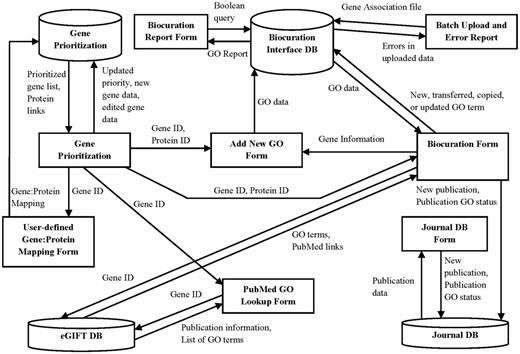 The AgBase annotation workflow is supported by three underlying databases. This schema shows the GP, BI and JDB (cylinders), the information they contribute to interface forms (squares) and the data from each database used to create these interfaces (arrows).