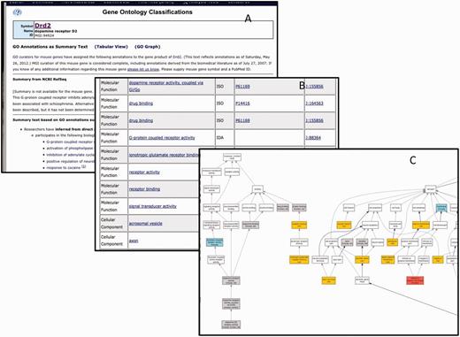 The GO annotation details for Drd2 displayed as summary text (A), table (B) or graph (C). Only a portion of each summary is shown. There are 175 annotations total.