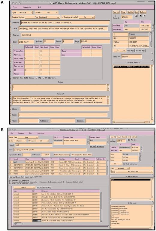 (A) MGI Master Bib EI, showing a record for a paper that has been selected for alleles/phenotypes and GO. The paper has not yet been curated for GO (indicated by an X in the selected and X in Not Used). (B) MGI Gene Feature Detail Module. References to be associated with this gene are entered into the lower left hand panel. If a paper is associated with multiple genes, the same paper is entered for each gene. All EIs are TeleUSE graphical user interface applications running under X-windows.