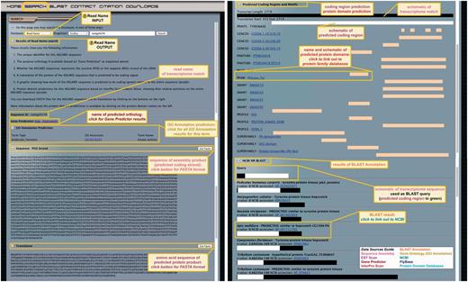 ASGARD Read Name search. The input user interface allows users to enter an assembly product (isotig or singleton) unique identifier (read name) obtained with any of the other search methods (Figures 3 and 5–7). In this example, read name isotig04276 was obtained in a Gene Prediction search (Figure 3) as a putative G. bimaculatus JAK ortholog. The output of read name searches provides all annotation data for the selected assembly product.
