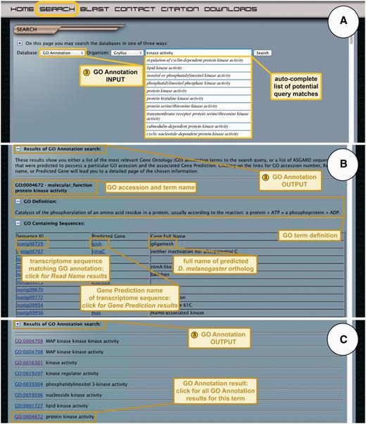 ASGARD GO Annotation search. (A) The input user interface allows users to choose an organism of interest and enter GO term queries, where they are assisted by an auto-completed list of suggested matching GO terms. In this example, a user searching for G. bimaculatus protein kinases enters the query ‘kinase activity’ into the search box. (B) The output of GO annotation searches based on user-defined queries yields a list of transcriptome sequences that map to the chosen GO term, with links to the read name searches for each sequence. This example shows results obtained by using ‘kinase activity’ as a query. (C) The output of GO annotation searches based on selection of auto-completion menu items yields a list of matching GO terms assigned to transcriptome sequences from the chosen organism, with links to all transcriptome sequences assigned to a given GO term. The example shows results obtained by selecting the GO term ‘protein kinase activity’ from the drop-down auto-completion suggestions shown in (A).