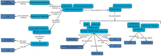 An overview of the relation map used by the Aptamer Base to describe SELEX experiments, the experimental details and the resulting aptamers. Light blue ellipses denote types and arrows represent either properties between topics or between topics and values (dark blue rectangles).