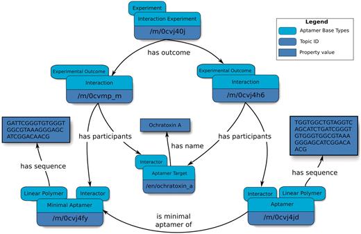 Overview of an abridged relation map describing minimal aptamers. Minimal aptamers are captured in the Aptamer Base by creating a new Interaction for each individual Minimal Aptamer, permitting the description of unique Aptamers can then be associated with the unique Interaction topics.