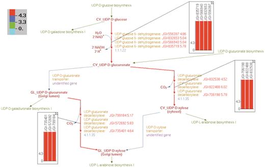 Overlay of log2-transformed SNP abundance for genes in the UDP-d-xylose biosynthesis pathway. Individual reaction representations are highlighted using the color code at the top left corner. The numbers in the color code define the ranges of the log2(SNP abundance) values of the genes in such a way that red, blue and green colors correspond to genes with high, medium and low SNP values, respectively. The reaction arrows for UDP-d-glucuronate formation, and for both the cytosolic and intra-Golgi conversions of UDP-d-glucuronate to UDP-d-xylose are highlighted in red since all the corresponding genes have high log2(SNP abundance). The color-coded log2(SNP abundance) values for the transcriptome genes encoding the enzymes catalyzing each reaction can be exhibited using pop-up bar diagrams, shown as inset figures. The absolute log2(SNP abundance) values for the genes that explicitly appear on the pathway diagram occur next to the corresponding gene locus tags and are color coded as well.