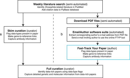 Literature curation pipeline before (a) and after (b) integrating community curation. A weekly search of the PubMed database identifies recent Drosophila-related publications. Newly identified papers subsequently undergo skim curation, which assigns data type flags and captures a limited subset of curated information (genes studied and antibodies generated). The data type flags are used to identify data-rich papers which are prioritized for full curation. The skim curation step previously carried out by FlyBase curators (a), has been replaced by community curation (b) by adapting the pipeline. First, we now download the PDF file of each new publication (currently possible for 89% of new papers). Secondly, we developed the EmailAuthor software suite, which is used to automatically e-mail the corresponding author of new papers. Finally, authors who have been e-mailed use the FTYP tool to skim curate their paper.