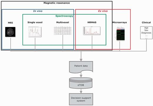 Overview of the eT project with respect to data. The database is built on the concept of patient and each patient has different data types.
