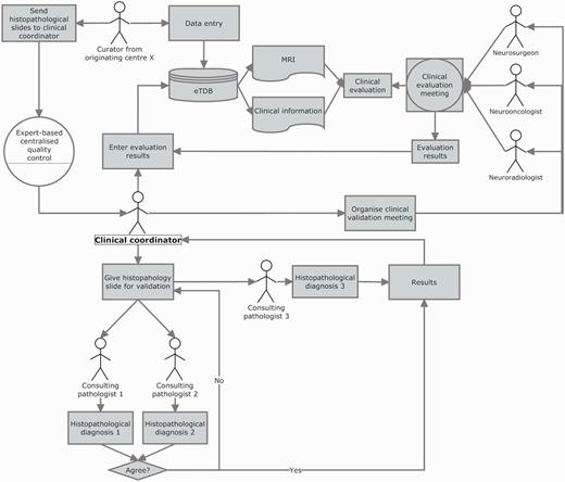Clinical data validation. The review was internally coordinated by a clinical coordinator that collected all the results and entered them into the eTDB. This person was in charge of gathering the results of the clinical meetings, organizing the slides distribution among neuropathologists, collecting their diagnoses and entering all this meta-data for all the centres into the eTDB. In this case, the permission schema for this user was that of a senior curator and specifically tailored for this sole purpose.