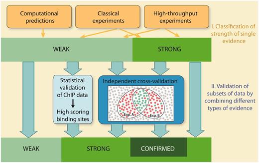 Schematic overview of evaluation of confidence in RegulonDB. Confidence is evaluated in two stages. In the first stage, individual methods are classified into weak or strong strength of evidence. In the second stage, subsets of data are validated by integrating multiple evidence using two strategies, statistical validation and independent cross-validation. Statistical validation is applied for ChIP datasets. It involves the evaluation of both the quality of the dataset and the quality of the discovered PWMs. The analysis validates binding sites, which score above a stringent threshold value. Cross-validation integrates multiple evidence and requires that the types of evidence, that are combined with each other, are independent and mutually exclude false positives. Weak evidence is cross-validated to strong evidence, whereas strong evidence is validated to confirmed evidence.
