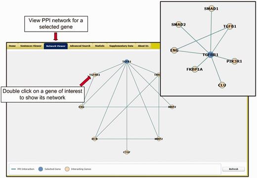 The network viewer of the T-HOD.